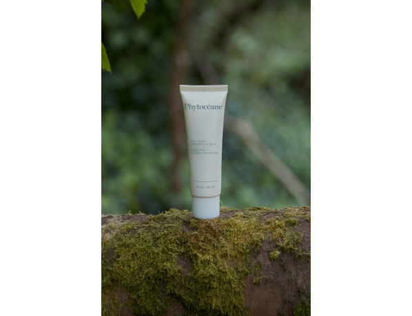 Purifying Mask with Organic Mate and Clays