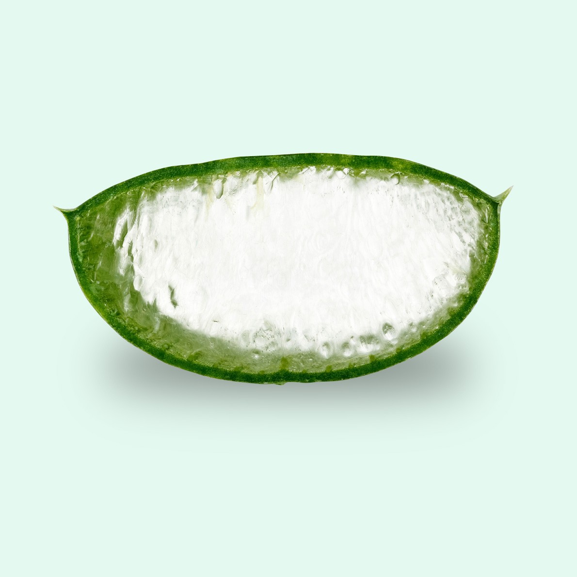 Økologisk aloe vera